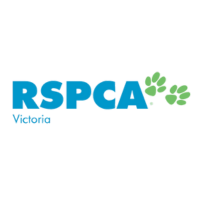 BRSPCA Victoria Ambassador